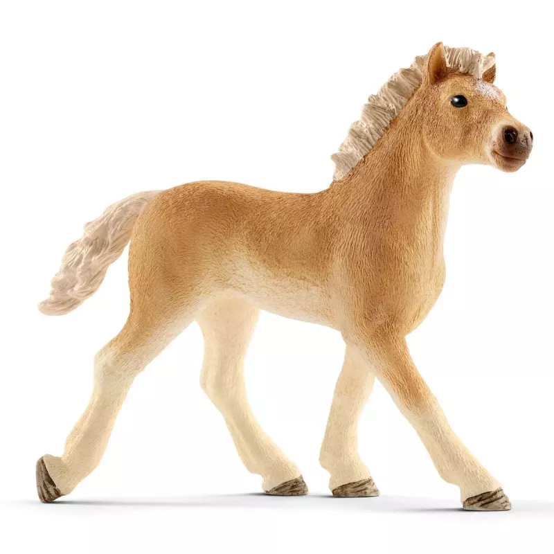 Schleich Veterinārā prakse ar mājdzīvniekiem, Saimniecība, Lauku dzīvnieku rotaļlietas, 3+ gadi, Daudzkrāsains