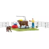 Schleich FARM WORLD Happy Cow Wash – mazgāšanas komplekts