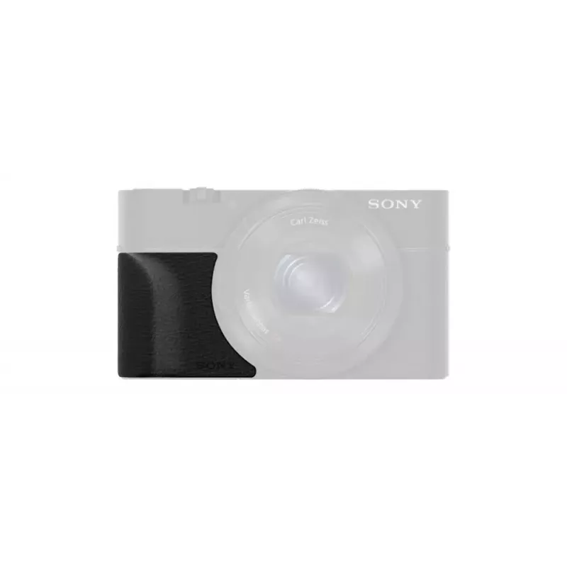 Kamerassaturs Sony AG-R2
