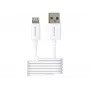 Lādētājs mobilajām ierīcēm 2-Power 2PUC1M02W Balts