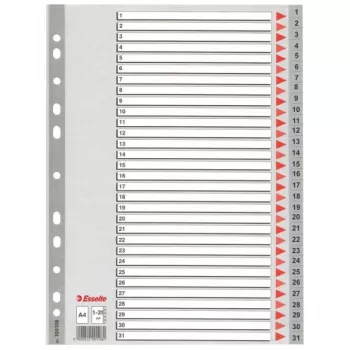 Esselte šķirotājs 1-31 PP A4 Pelēks, ciparu tab indekss, polipropilēns (PP), A4, 225 mm, 297 mm, 1 gab.