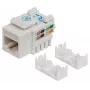 Intellinet Keystone Jack, Cat6, UTP, Punch-down, Balts, Plakans