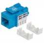 Intellinet Keystone Jack, Cat6, UTP, Punch-down, Zils