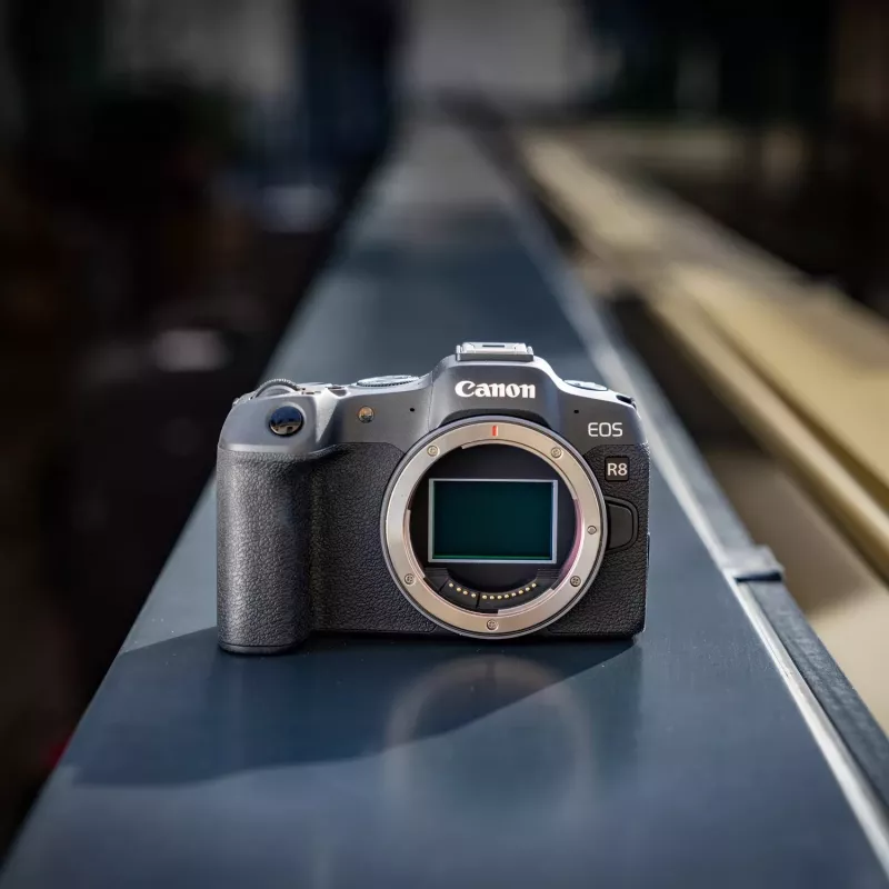 Canon EOS R8 + RF 24-105mm F4-7.1 IS STM bezspoguļa kamera 24.2 MP CMOS 6000 x 4000 pikseļi Melna