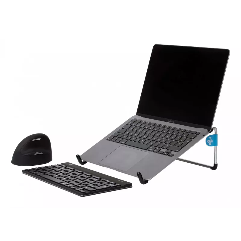 R-Go Tools R-Go Steel Basic Laptop Statīvs, sudraba, Tērauds, 25.4 cm (10 collas) - 55.9 cm (22 collas), 5 kg, 0 - 110 mm