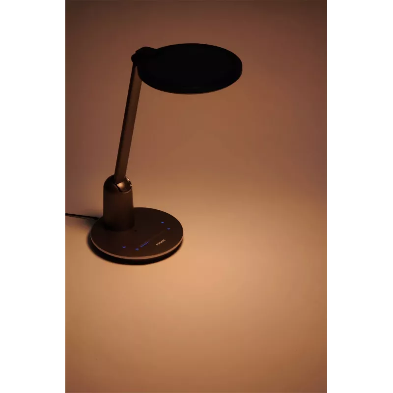 Philips Functional Einstein Galda Lampa
