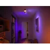 Philips Hue White and colour ambience Centris 2-punktu griestu lampa melna