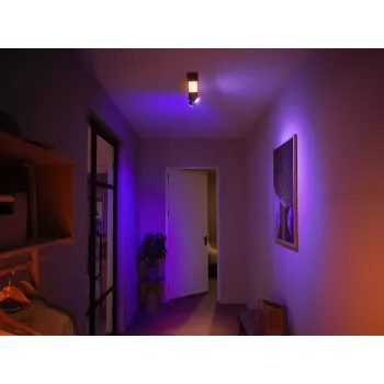 Philips Hue White and colour ambience Centris 2-punktu griestu lampa melna