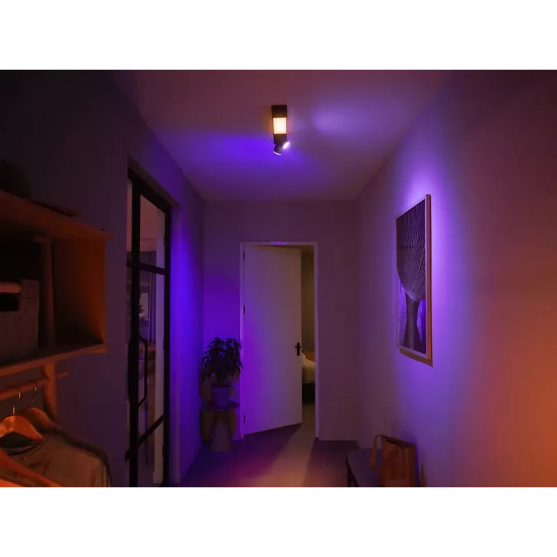 Philips Hue White and colour ambience Centris 2-punktu griestu lampa melna
