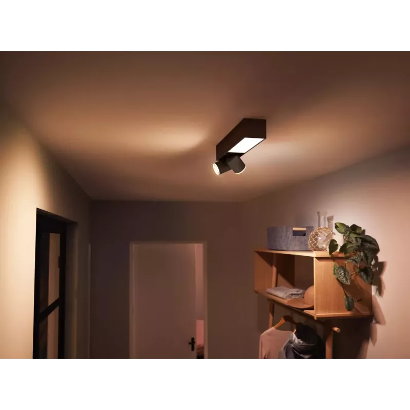 Philips Hue White and colour ambience Centris 2-punktu griestu lampa melna