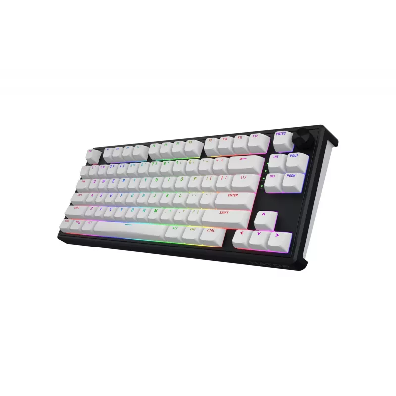HATOR Skyfall Wireless 80 tastatūra Gaming USB + RF bezvadu + Bluetooth QWERTY US English Melna, Balta