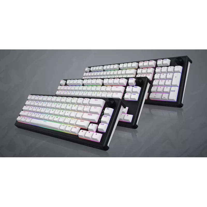 HATOR Skyfall Wireless 80 tastatūra Gaming USB + RF bezvadu + Bluetooth QWERTY US English Melna, Balta