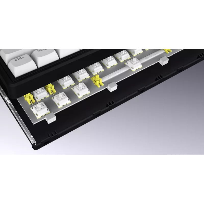 HATOR Skyfall Wireless 80 tastatūra Gaming USB + RF bezvadu + Bluetooth QWERTY US English Melna, Balta