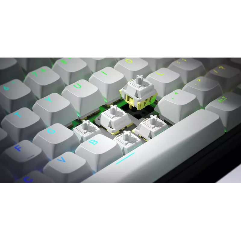HATOR Skyfall Wireless 80 tastatūra Gaming USB + RF bezvadu + Bluetooth QWERTY US English Melna, Balta