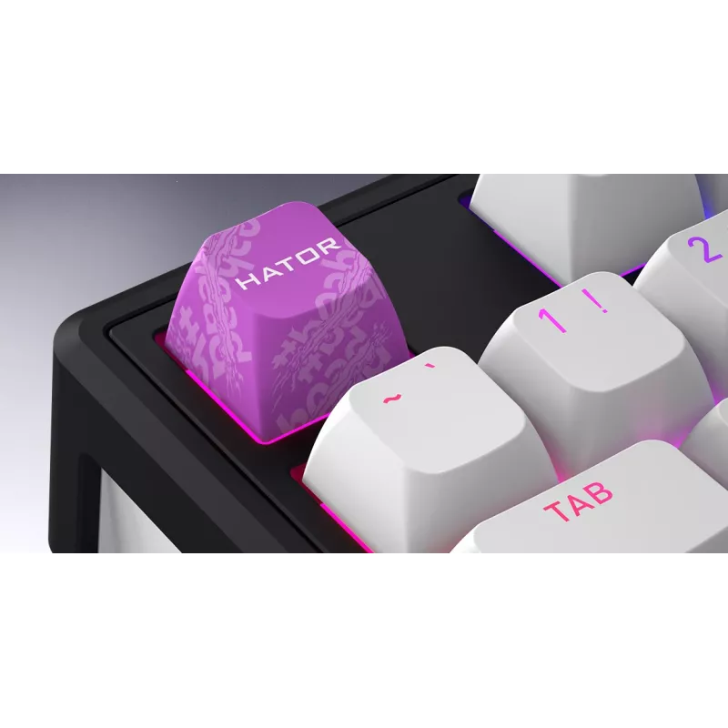 HATOR Skyfall Wireless 80 tastatūra Gaming USB + RF bezvadu + Bluetooth QWERTY US English Melna, Balta