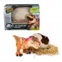 Jurassic World Primal Hatch Interaktīvā rotaļlieta Dinozaurs & Ola, Izperē un apmāci savu mazuli ar 100+ skaņām un reakcijām, Bērnu rotaļlietas zēniem un meitenēm no 5 gadu vecuma