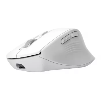 Bezvadu labās rokas biroja pele TRUST Niven — RF + Bluetooth, 3200 DPI, 7 pogas, ritenītis, balta