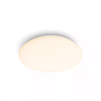 Philips Functional Moire griestu lampa 10 W, LED, nemaināma spuldze, 2700 K, 1000 lm, IP20, Balta