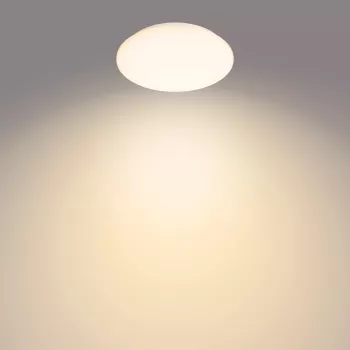 Philips Functional Moire griestu lampa 10 W, LED, nemaināma spuldze, 2700 K, 1000 lm, IP20, Balta