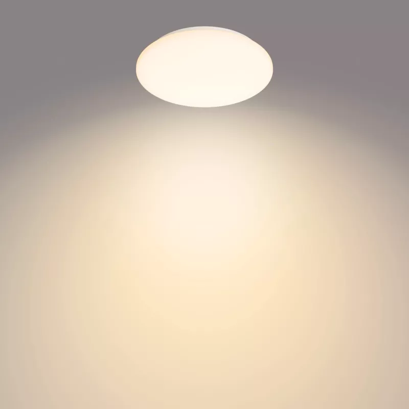 Philips Functional Moire griestu lampa 10 W, LED, nemaināma spuldze, 2700 K, 1000 lm, IP20, Balta