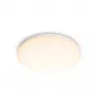 Philips Functional griestu lampa LED, 2700 K, 1700 lm, IP20, Balta