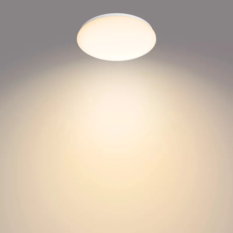Philips Functional griestu lampa LED, 2700 K, 1700 lm, IP20, Balta