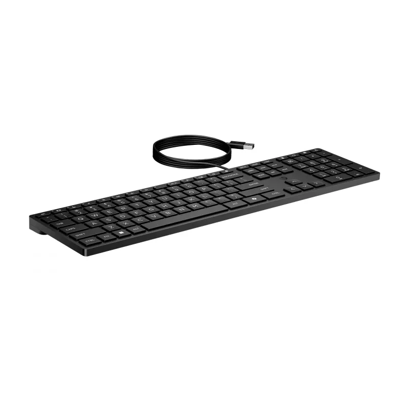 HP Wired Desktop 320K tastatūra, pilna izmēra, USB, membrānas, melna