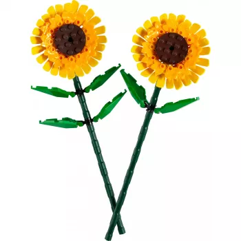 Lego 40524 Saulespuķes