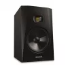 T8V - Active Monitor