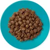 APPLAWS Adult Ocean fish with salmon - sausā barība kaķiem - 1,8kg