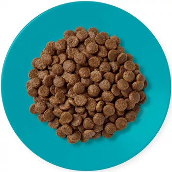 APPLAWS Adult Ocean fish with salmon - sausā barība kaķiem - 1,8kg