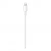 Apple USB-C uz Lightning kabelis MX0K2ZM/A 1m