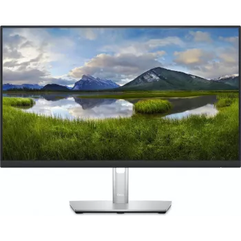 DELL P2423D 60,5 cm (23,8 inch) QHD LED monitors