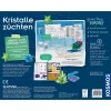 Kristālu audzēšanas eksperimentu komplekts