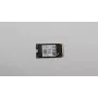 256GB M.2 2242 PCIe 4.0 NVMe SSD (Lenovo, 5SS0W79502)