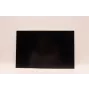 Lenovo DISPLAY AUO 14.0 WUXGA AG (5D10V82364)