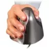 Pele Evoluent VM4L Office kreilim USB Type-A