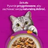 Slapjā kaķu barība Whiskas Tasty Mix šefpavāra izlase mērcē 40×85 g paciņas