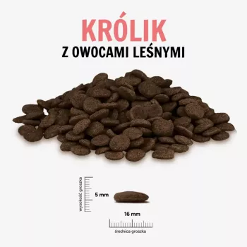 PAKA ZWIERZAKA truša ar meža ogām liela 9 kg sausā suņu barība