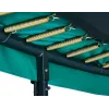 Trampolīns Salta First Class 251 cm zaļš