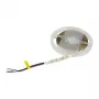 Synergy 21 LED Flex Strip 5050 - 60 RGB DC24V + RGB-W vienas mikroshēmas WW s-veida IP20