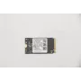 Lenovo 5SS0V42253 Iekšējais cietvielu disks M.2 256 GB PCI Express