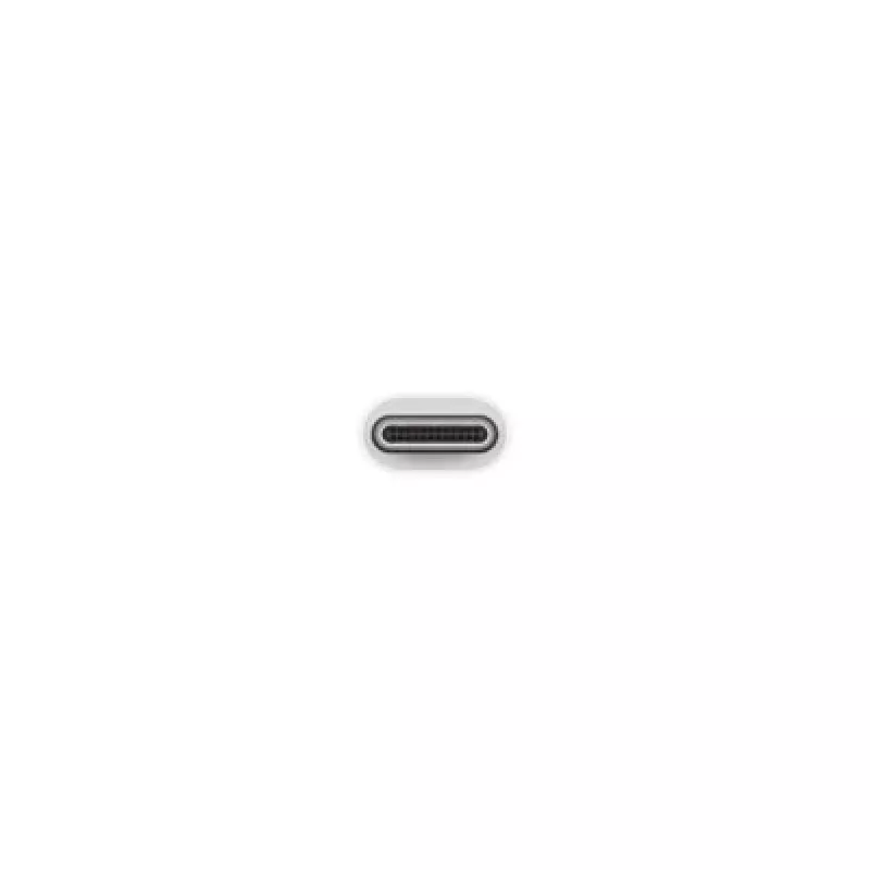 Apple USB-C uz USB adapteris MJ1M2ZM/A