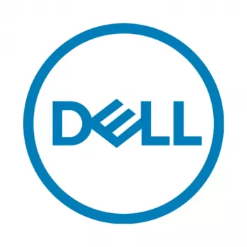 Dell KIOXIA BG4 Series KBG40ZNS256G - SSD - 256 GB - iekšējais - M.2 2230 - PCIe 3.0 x4 (NVMe) (FWJTG)
