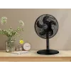 Noveen F535 X-Line 2-in-1 stāvošais un galda ventilators, 40 cm, melns