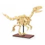Būvēšanas komplekts Jamara CaDA Dinozauru fosilija Velociraptor — 256 gab., vecumam 8+, bēšs/brūns