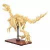 Būvēšanas komplekts Jamara CaDA Dinozauru fosilija Velociraptor — 256 gab., vecumam 8+, bēšs/brūns