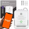 Gāzes un oglekļa monoksīda noplūdes detektors QOLTEC 52654 — dabasgāzes un CO sensors