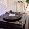 Atskaņotājs ar siksnas piedziņu Energy Sistem BlackSpin Melns Caurspīdīgs 33 45 78 RPM