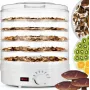 Extralink Home Liela žāvētāja sēnēm, augļiem, dārzeņiem un garšaugiem Powerful Pro 500W + 5 paplātes 27cm Balta